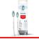 Colgate-1
