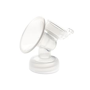 CP005501